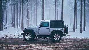 silver Jeep Wrangler on dirt road in snow-covered forest