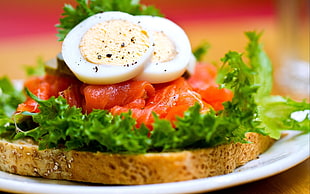 sliced bread with coleslaw and sliced boiled egg HD wallpaper