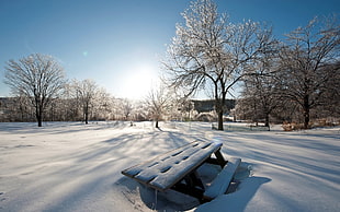 snow covered picnic bench during daytime