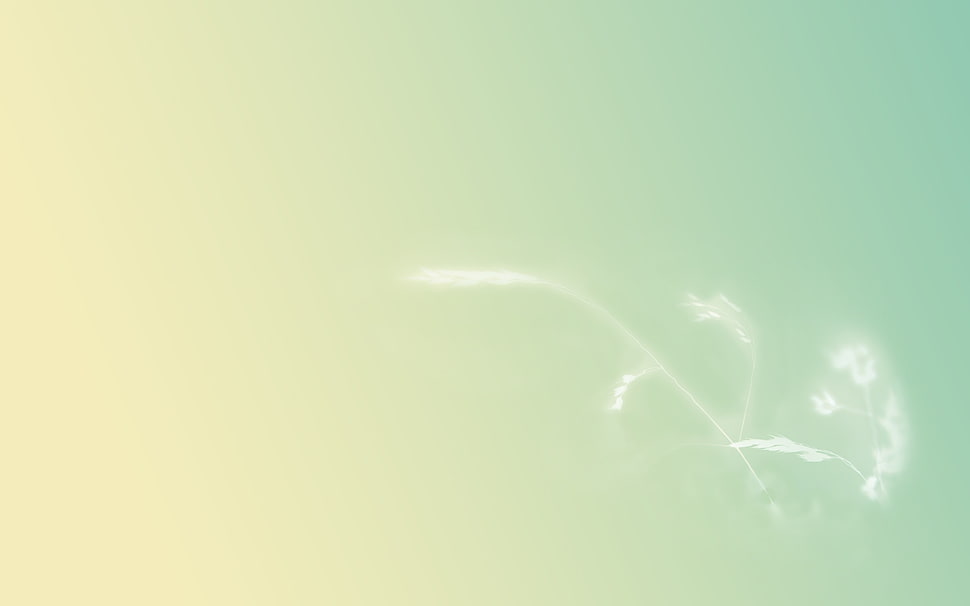 green and yellow digital wallpaper HD wallpaper