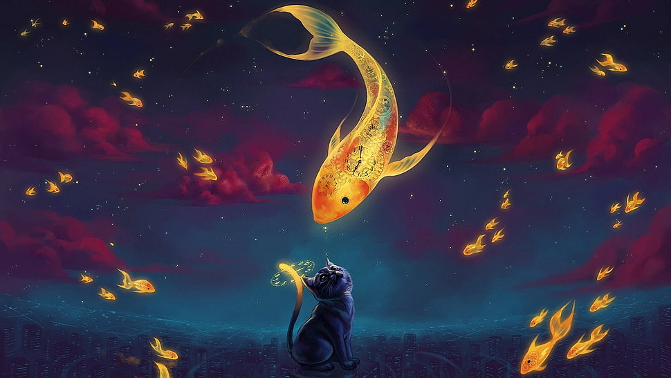 fish and cat 3D wallpaper HD wallpaper