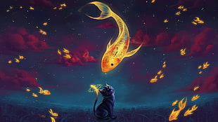 fish and cat 3D wallpaper HD wallpaper