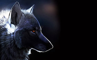 gray wolf, animals, wolf, fantasy art, glowing eyes