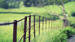 shallow photography on brown fence