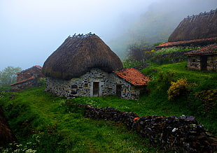 grey and brown house, landscape, grass, mist, house