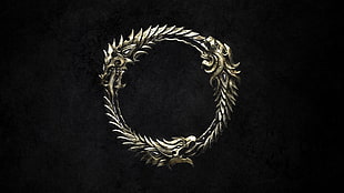silver-colored dragon ring, The Elder Scrolls Online