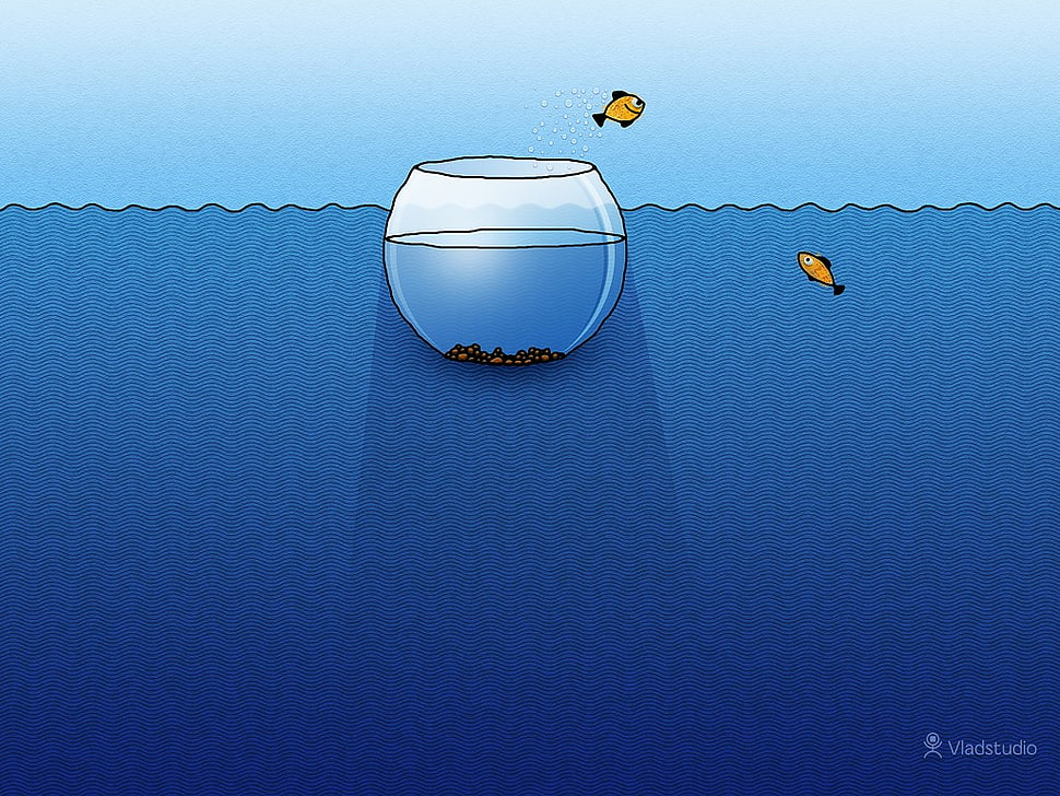 fish bowl illustration, Vladstudio, fishbowls, fish, water HD wallpaper
