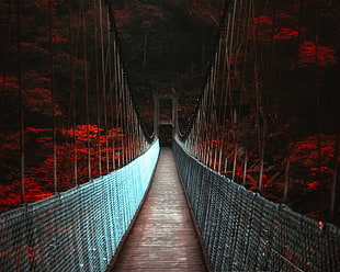 photograph of grey and brown bridge