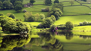 photography of body of water reflecting on landscape