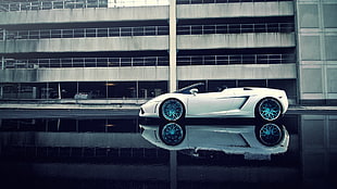 white sports coupe, Lamborghini, car, sports car, supercars