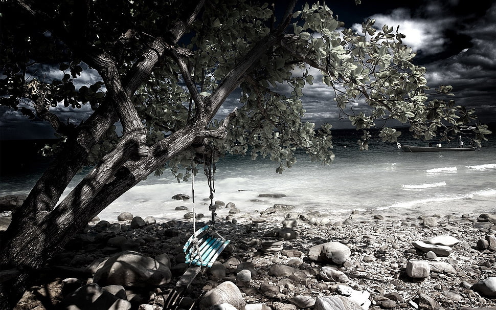 blue wooden swing near river HD wallpaper
