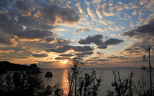 silhouette photography of body of water during sunset