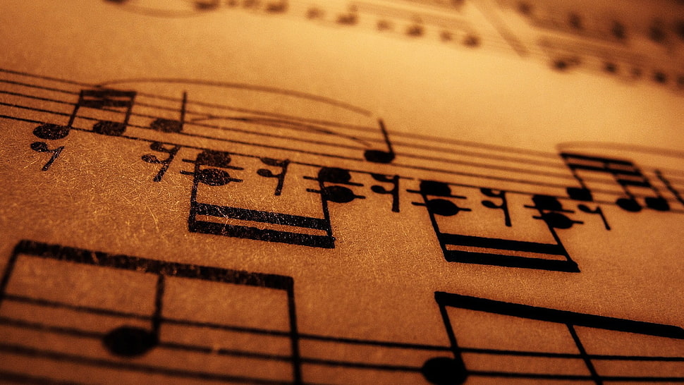 black clef artwork, macro, music, musical notes HD wallpaper