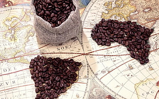 coffee beans