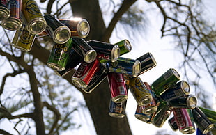 photography of tin can buntings during daytime HD wallpaper