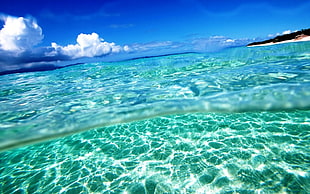 clear sea water photography under blue daytime sky