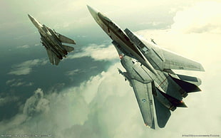 black and gray metal tool, Ace Combat, Ace Combat 5: The Unsung War, F-14 Tomcat, video games HD wallpaper