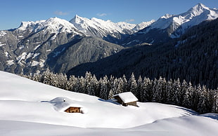 white and blue inflatable boat, landscape, mountains, forest, snow