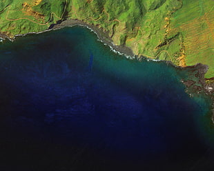 bird's eye view photography of green island