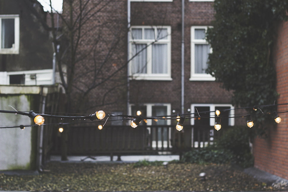black string lights photo HD wallpaper