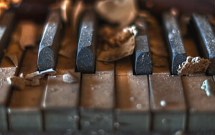 macro photography of piano keys