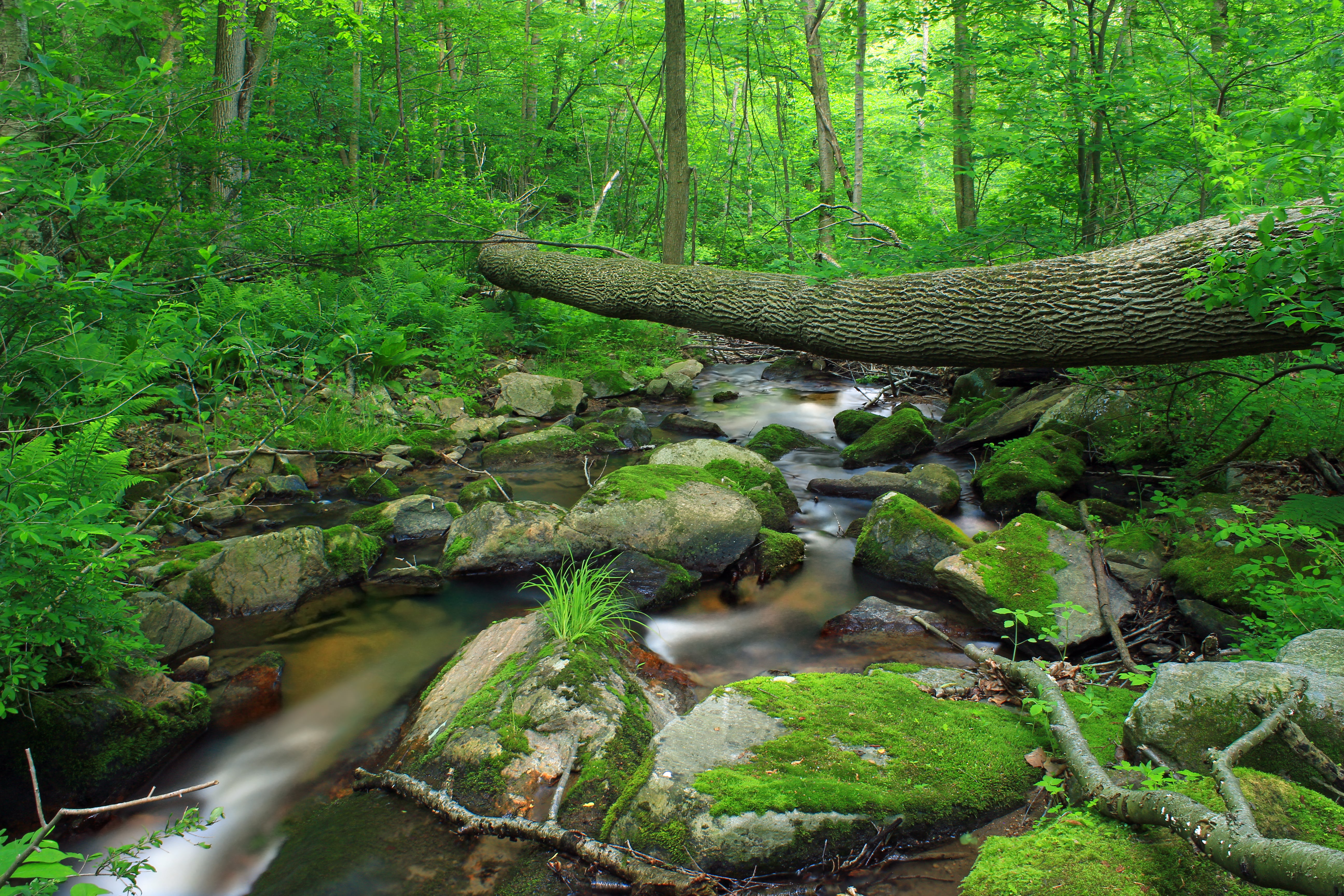 photo of river in mountain