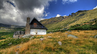 white and black house, landscape, cabin