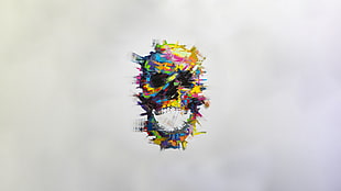 multicolored skull illustration, abstract, skull