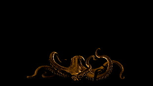 brown octopus, Kraken, House Greyjoy HD wallpaper