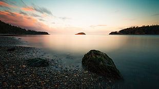 seashore under white and gray clouds