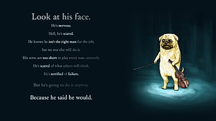 look at his face. text, motivational, Adventure Time, pug 
