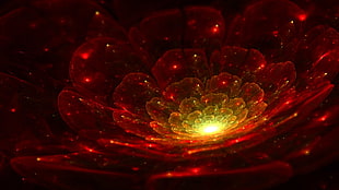 red and yellow flower digital wallpaper