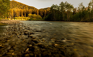 time-lapse photography of flowing river surrounded by trees