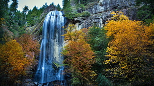 yellow leafed trees, waterfall, landscape