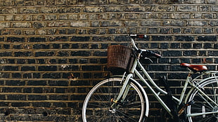 silver step through bike on wall
