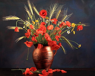 flower photography of red petaled flowers on vase