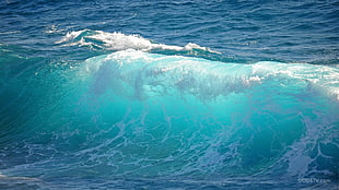 water waves, nature, landscape, waves, sea HD wallpaper