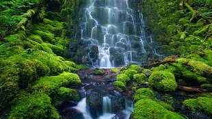 water fall, landscape, waterfall HD wallpaper