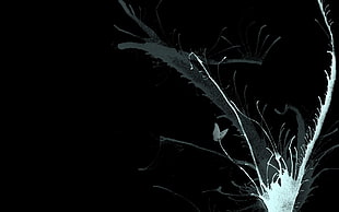 black and white wallpaper