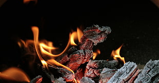 flaming charcoal, fire HD wallpaper