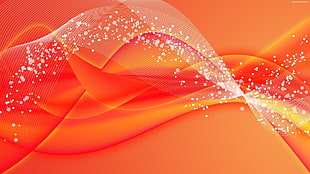 orange wallpaper HD wallpaper