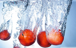five round red fruits, mangos, water, fruit, splashes HD wallpaper