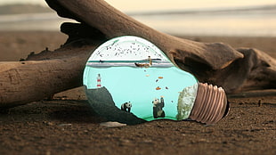 glass light bulb, light bulb, digital art, panda, wood