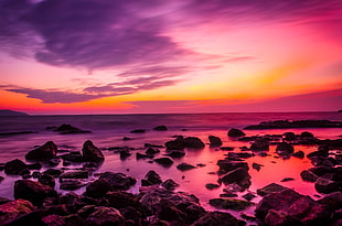 sea side taken during sunset HD wallpaper