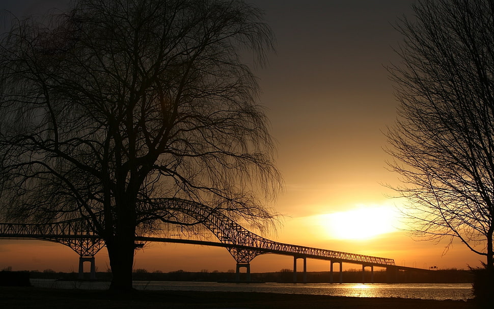 silhouette of bridge HD wallpaper