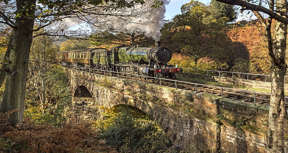 blue and red train, train, bridge HD wallpaper