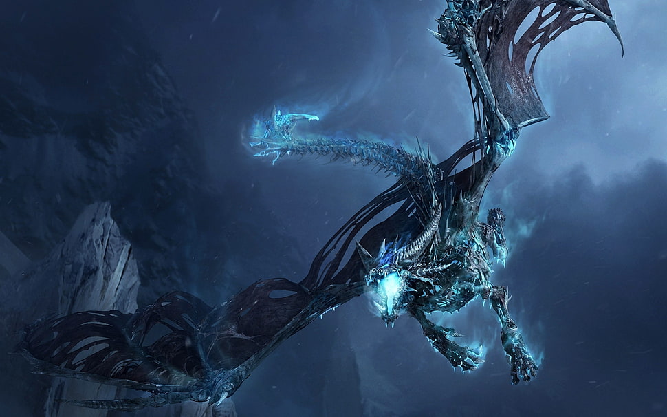 Winter Dragon game character HD wallpaper