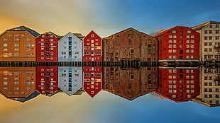 assorted-color buildings, reflection, building, Trondheim, river HD wallpaper