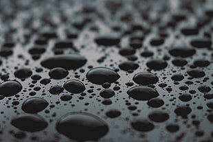 micro photo of black liquid HD wallpaper