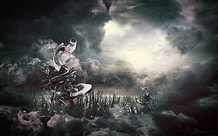 grass at foggy weather digital wallpaper